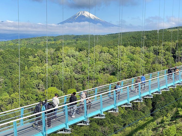 全長400m、日本一長い歩行者専用吊橋。富士山や駿河湾など絶景が望める..