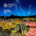 【いばらきフラワーパーク】花や自然を活かしたイルミネーション「Moonlight Rose Garden」を９０日間にわたって開催！